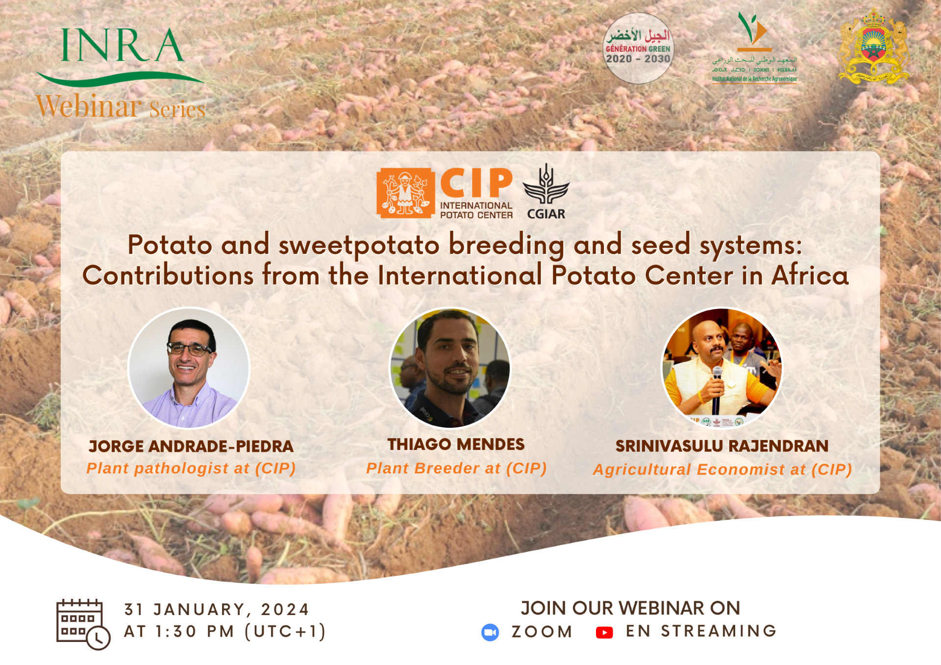 /fr/content/potato-and-sweetpotato-breeding-and-seed-systems-contributions-international-potato-center
