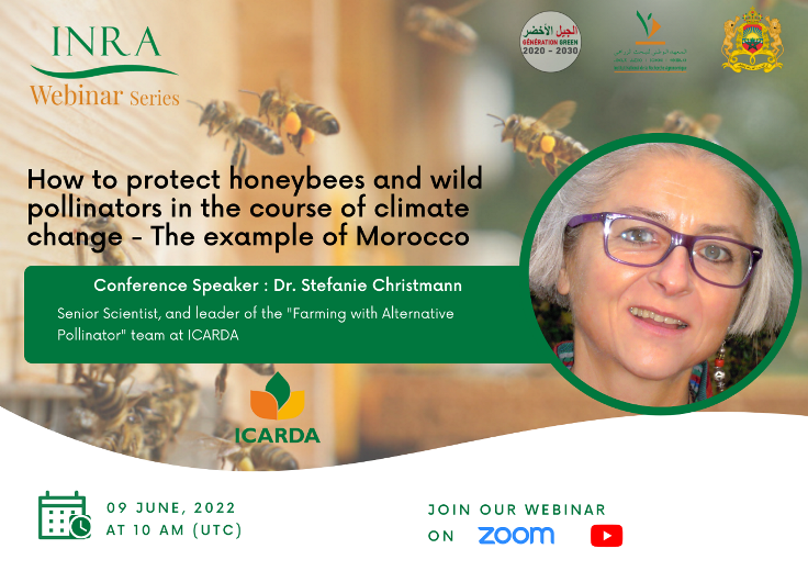 




/index.php/fr/content/how-protect-honeybees-and-wild-pollinators-course-climate-change-example-morocco


