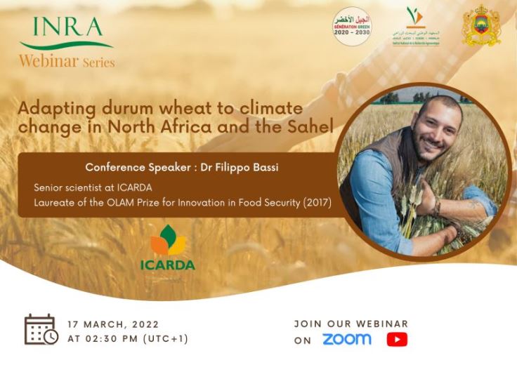 /fr/content/adapting-durum-wheat-climate-change-north-africa-and-sahel
