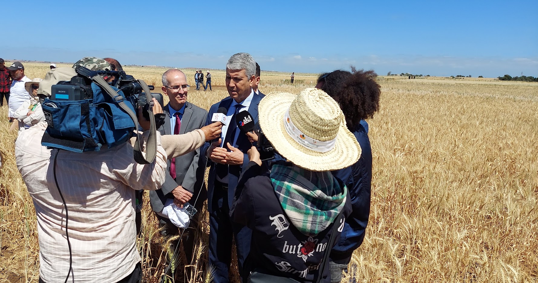 




16/05/2024 Céréaliculture: l’INRA présente à Marchouch les rendements de ses nouvelles variétés…


