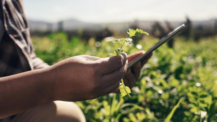14/06/2021 |  Agritech : L’évolution de l’agriculture passe par la digitalisation