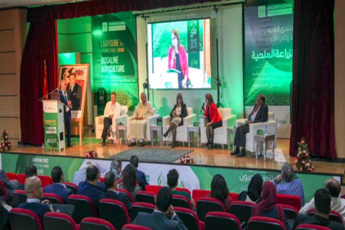 




09/05/2019| Laâyoune abrite le 1er Forum Internationale sur l’Agriculture Biosaline


