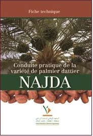 Conduite pratique de la variété de palmier dattier Najda
