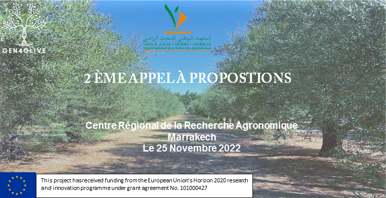 25/11/2022 | L'INRA lance le 2ème Appel à propositions ouvert du projet GEN4OLIVE