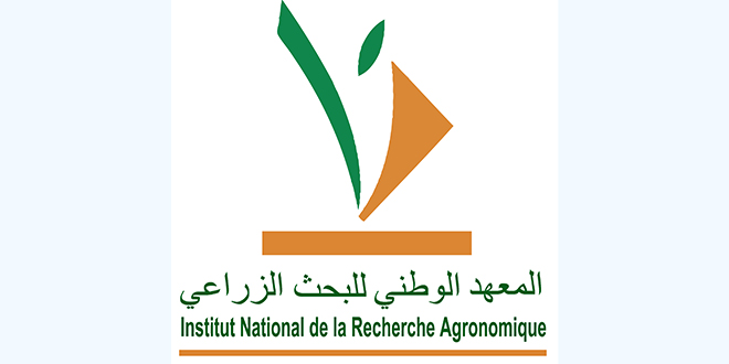 03/10/2022 | Exceptionnel ! le Maroc prépare l’amélioration génétique immédiate de 04 variétés de…