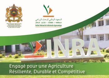 




L'INRA, Engagé pour une Agriculture Résiliente, Durable et Compétitive


