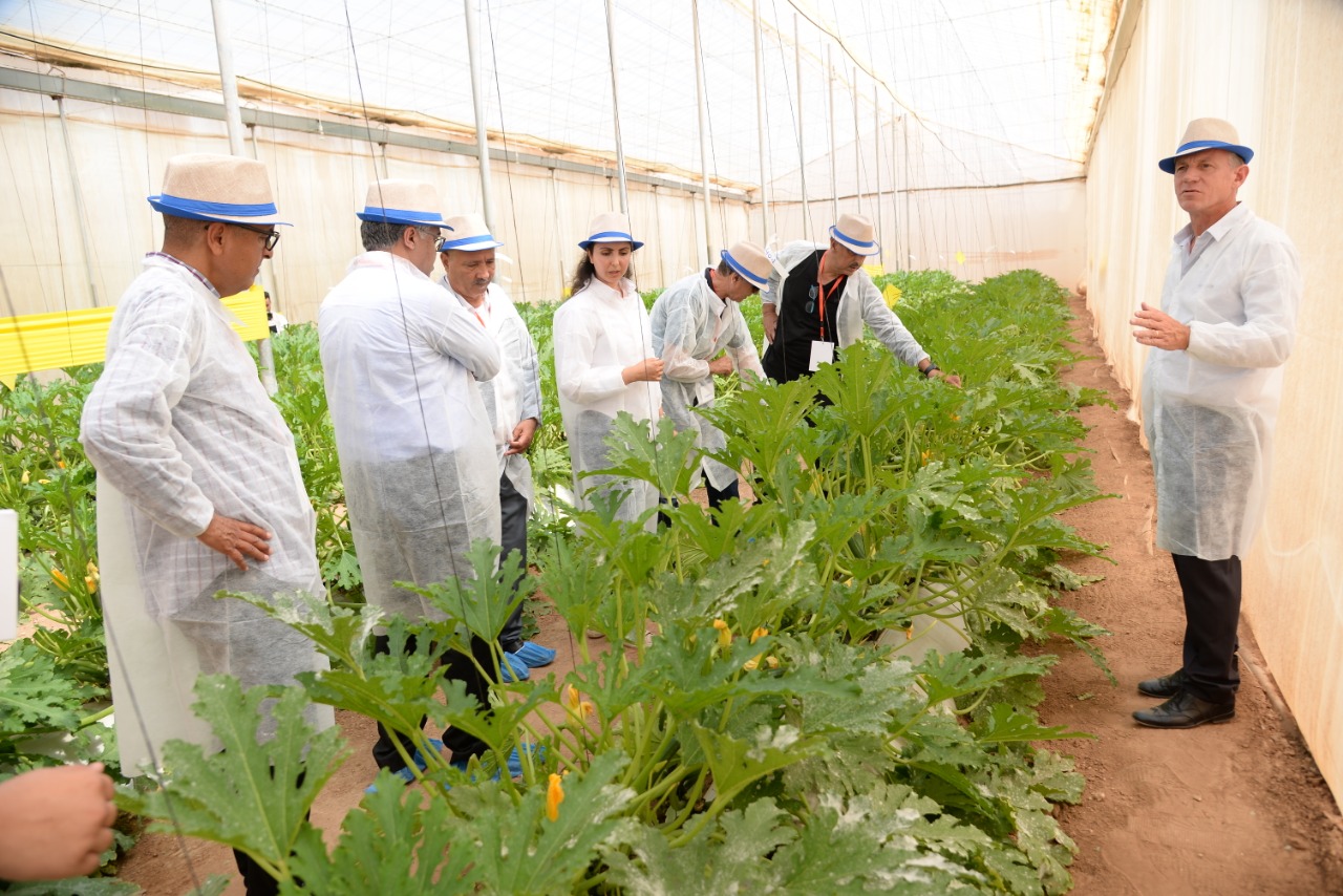 30/05/2022 | Syngenta présente à Agadir ses solutions pour une agriculture durable