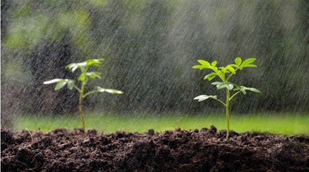 21/03/2022 | Campagne agricole 2022: quel est l’impact des récentes précipitations sur les cultures…