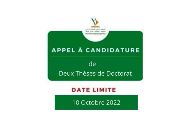 20/07/2022 | Appel à Candidature pour deux Thèses de Doctorat dans le cadre du Projet ClimGenOlive/…