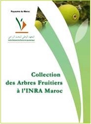 Collection des arbres Fruitièrs à l'INRA Maroc