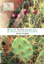 




 Atlas du Cactus (opuntia spp.) de différentes provenances marocaines


