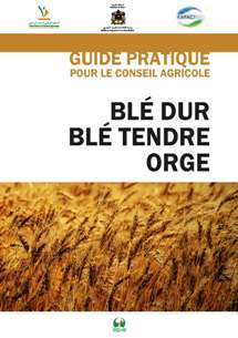 




 Guide pratique pour le conseil agricole blé dur blé tendre orge


