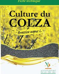 




Fiche Technique: Culture du Colza Brassica napus L.


