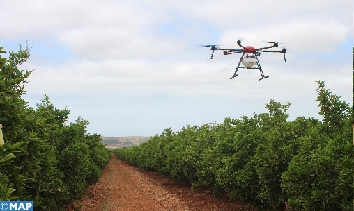 31/05/2021 | Rencontre à Berkane sur l’utilisation des drones en agrumiculture