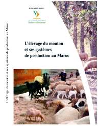 




L'élevage du mouton et ses systèmes de production au Maroc


