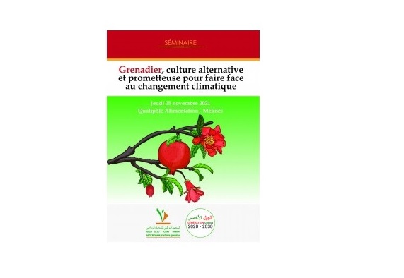 11/11/2021 | Séminaire scientifique : Le Grenadier, une culture alternative prometteuse pour faire…