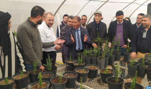 10/05/2022 | Arganier: A la recherche d’écotypes et clones performants pour un développement durable