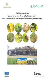 




Guide pratique pour la protection phytosanitaire des céréales et des légumineuses alimentaires


