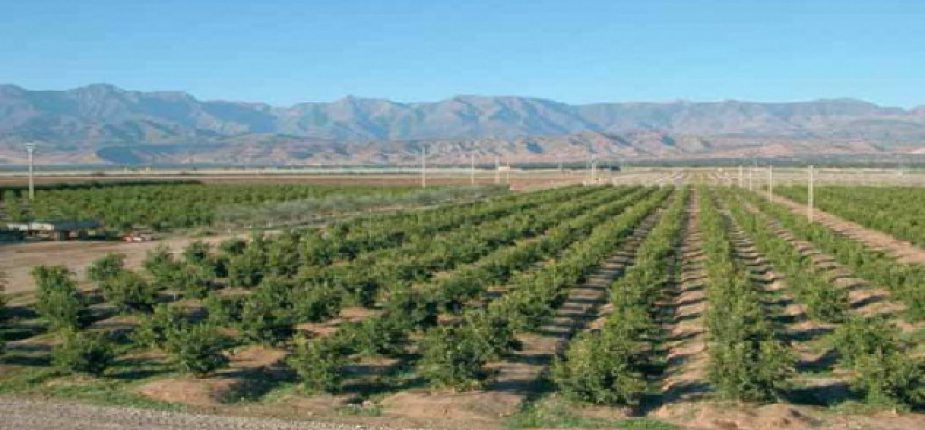 30/12/2019 | L’INRA dresse le tableau des sols agricoles au Maroc