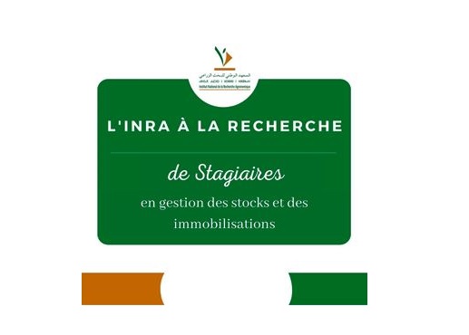 14/03/2022 | L'INRA à la recherche de stagiaires en gestion des stocks et des immobilisations