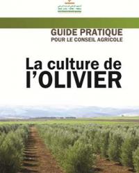 




Guide pratique pour le conseil agricole: La culture de l'Olivier


