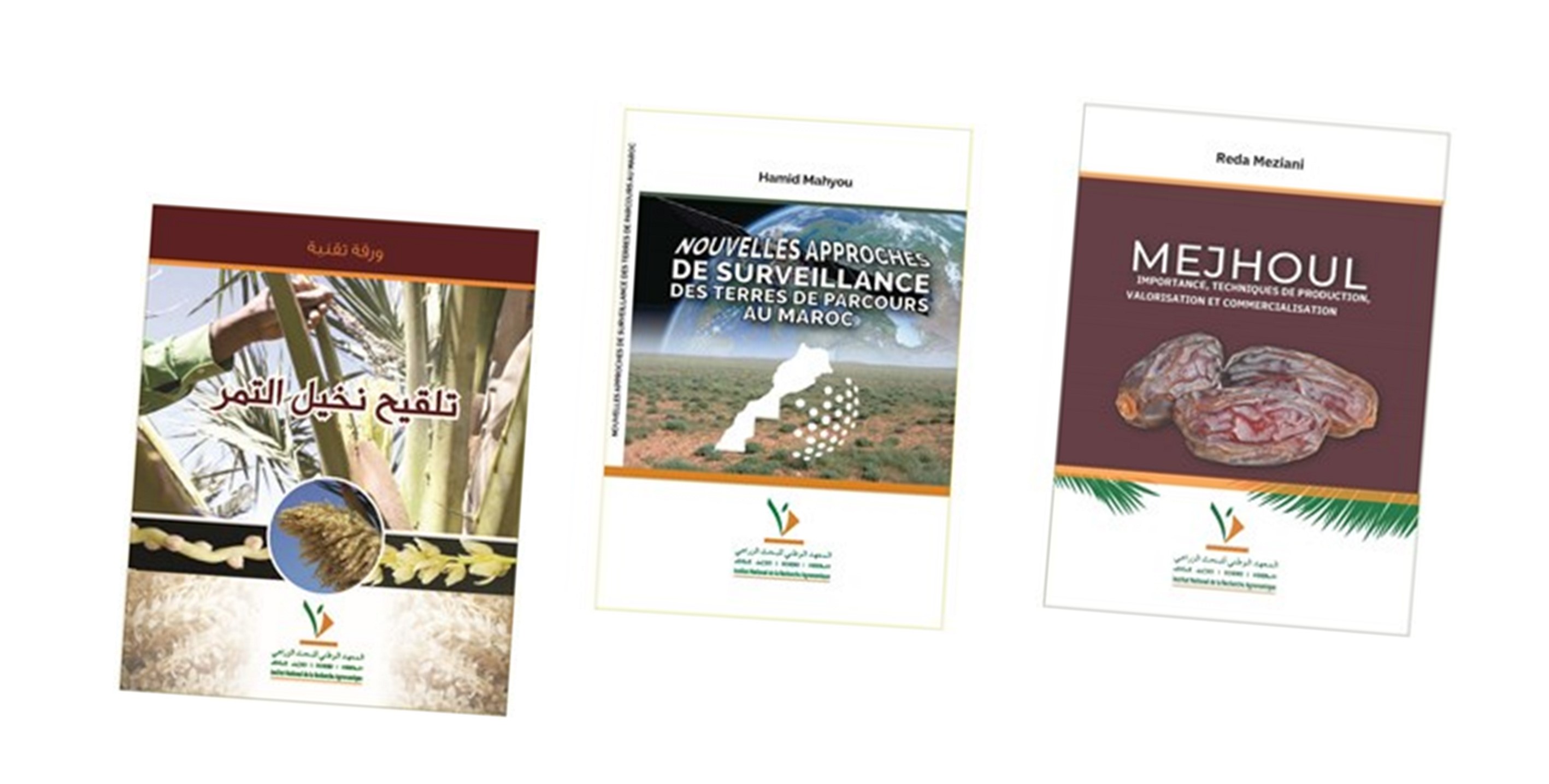 04/01/2023 | Recherche agronomique : l’INRA dévoile ses dernières publications