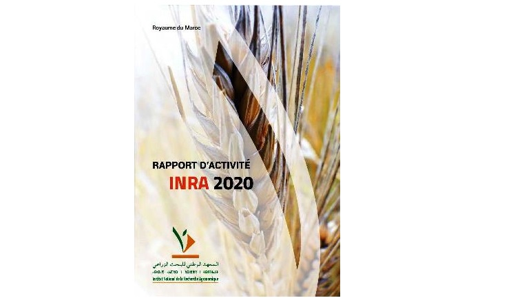 03/06/2021 | INRA : Parution du rapport d’activités de l’INRA au titre de l’année 2020
