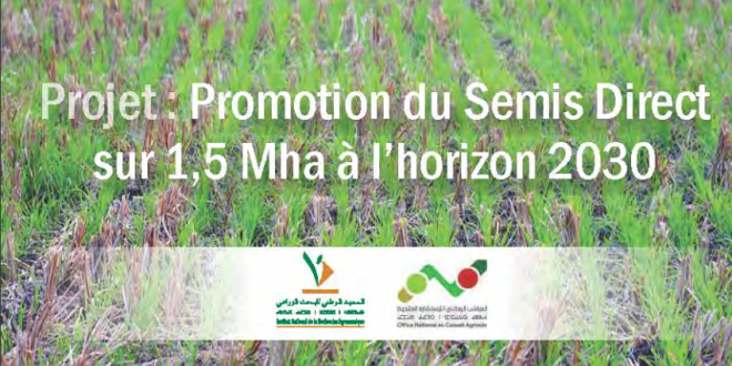 10/02/2021 | INRA : Atelier sur la promotion du semis direct sur 1,5 million d’hectares