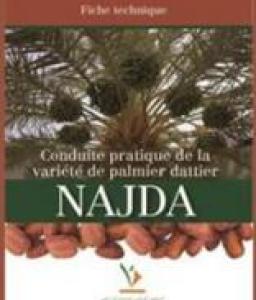




Conduite pratique de la variété de palmier dattier Najda


