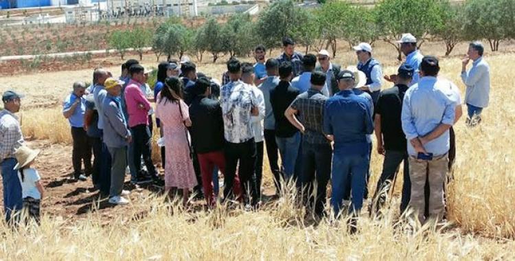 




12/05/2023 | Des agriculteurs initiés aux nouvelles obtentions variétales de l’INRA à Al-Hoceima


