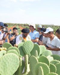 




02/08/2022 | Visite de la Plateforme de Cactus résistant à la Cochenille au domaine de Tassaout : séance de dégustation des fruits et produits à base de cactus Tassaout


